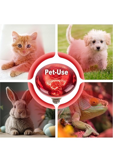 250w Tavuk Isı Lambası Ampulleri, Par38 Civcivler İçin Isı Lambası, Kızılötesi Isıtma Ampulleri 2 Paket