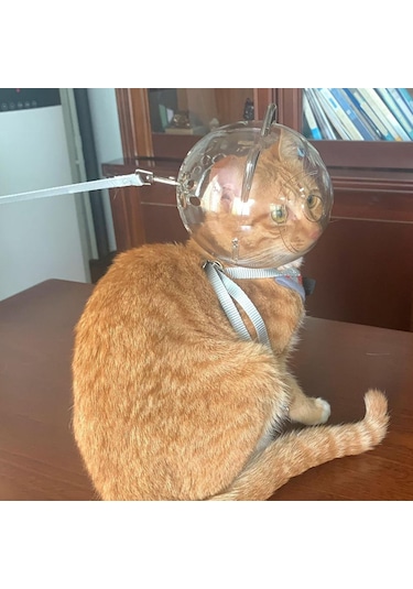 Homyl Namlu Tırnak Kırpma Kısıtlama Açık Görünüm Anti