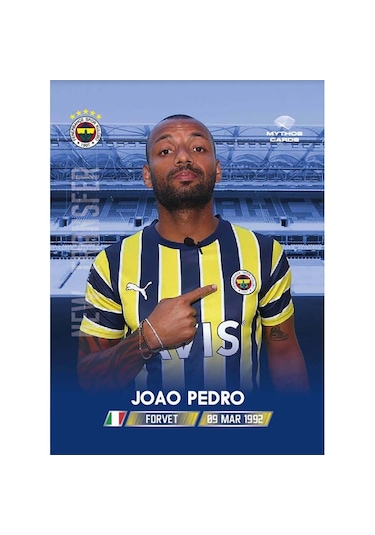 Fenerbahçe 2022-23 Sezon Kartları