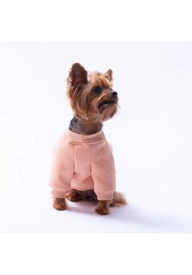 Pawstar Pembe Dublin Hopper Polarlı Küçük Irk Köpek Sweatshirtü