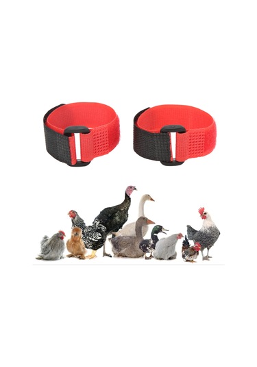 Moveevo 2 Adet Nylon Tavuk Kolyesi - Kükremeyi Azaltan, Uygun Ve Dayanıklı, Tavuk-ördek-bazı Kuşlar İçin Uyumlu