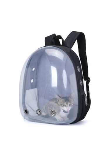 Taşınabilir Açık Pet Kedi Panoramik Şeffaf Nefes Sırt Çantası