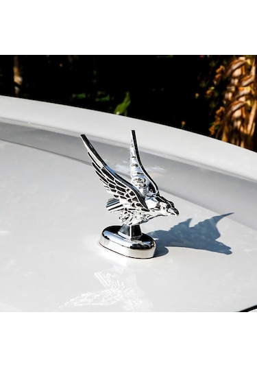 Sones Araba Kaputu Dekorasyonu 3d Yayılmış Kanatlar Uçan Kartal Modifikasyonu Evrensel Araç Amblemi Gümüş