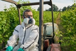 Gvs Spr496 Elipse Maske + A2-p3 Filtre