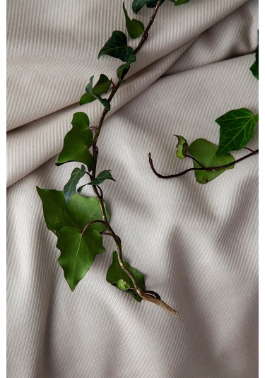 Apricitas Home Tanya Bej Çift Kişilik Bambu Pike Takımı Bej