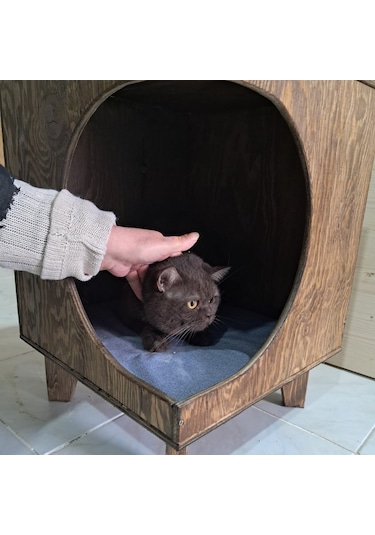 Dekoratif Ahşap Kedi Evi Ve Yan Sehpa