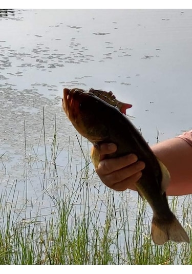 Valkyrie 8 Eklemli 3d Oynak Rapala 13 5gr Sahte Balık Yem Wobblers Swimbait Tuzlu Ve Tatlı Su