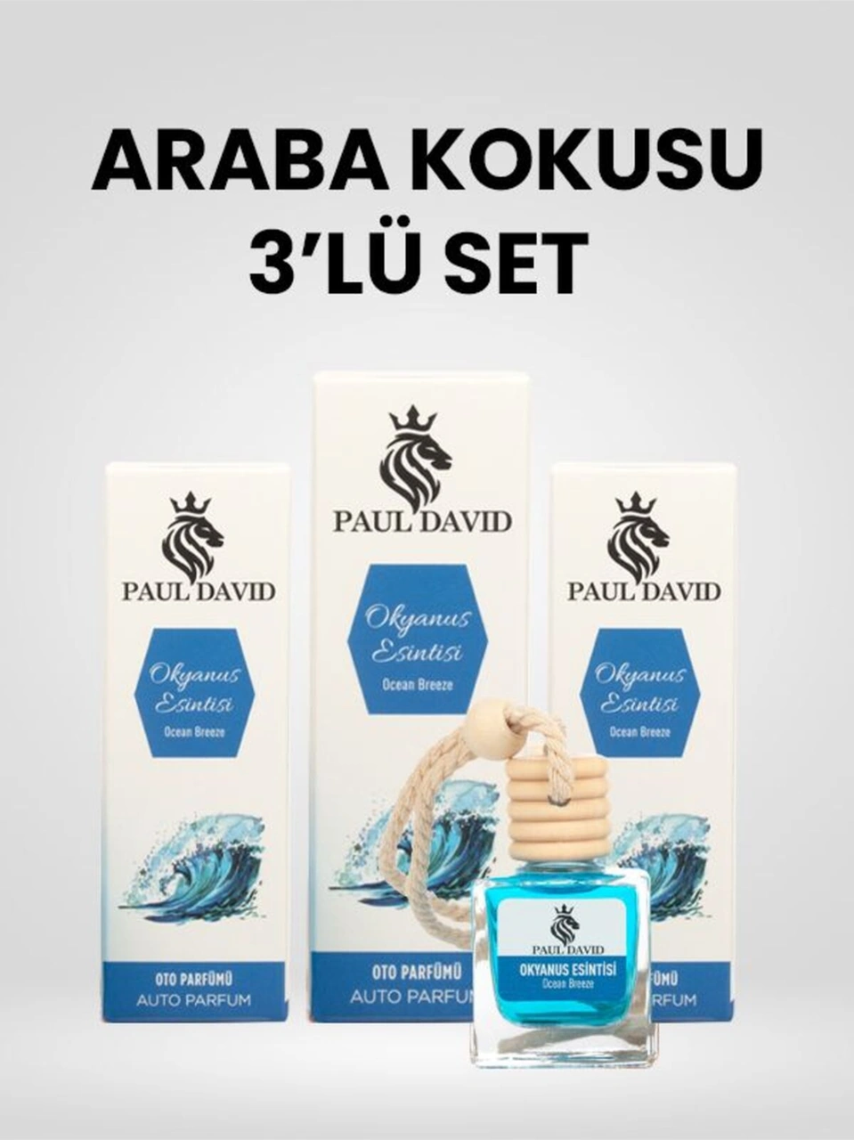 Dekoratif Araç Oto Kokusu 3 Lü Set Okyanus Esintisi
