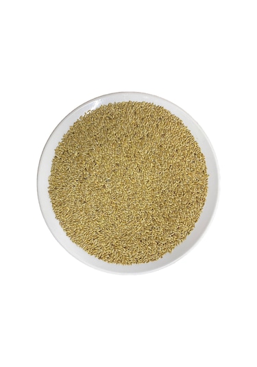 1 Kg Aspur Sade Kanarya Kuş Yemi 1.kalite