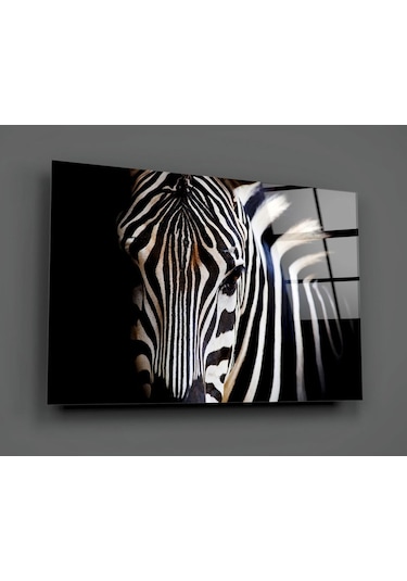 Zebra Cam Tablo