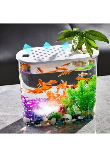 Suntek Mini Balık Tankı Temizle Taşınabilir Masa Hidroponik