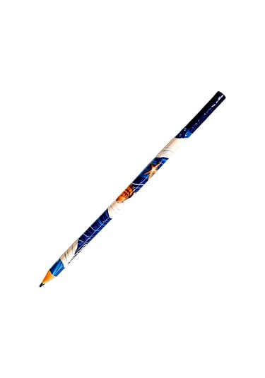 Gen-of Pigui Deniz Kabukları Ve Midye Desenli Kurşun Kalem 12 Adet Çok  Renkli