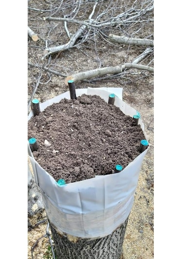 Gmt Blue-Guard Sıvı Aşı Macunu 1 Lt