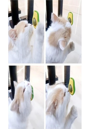 Avakado Kedi Naneli Catnip Yalama Oyun Topu