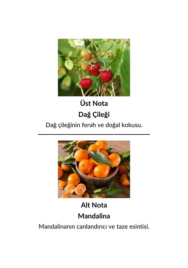 Alescia St-20 Kadın Parfüm EDP 50 ML