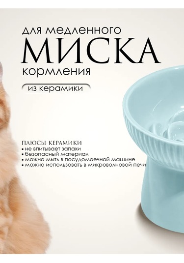 Vektorı Kedi Kabı Seramik 391812075