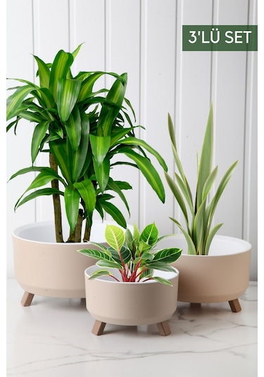 Nandy Home Tripot Model Saksı Seti Krem 3'lü