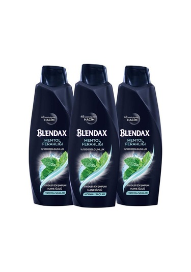 Blendax Erkekler için Mentollü Şampuan 3 x 500 ML