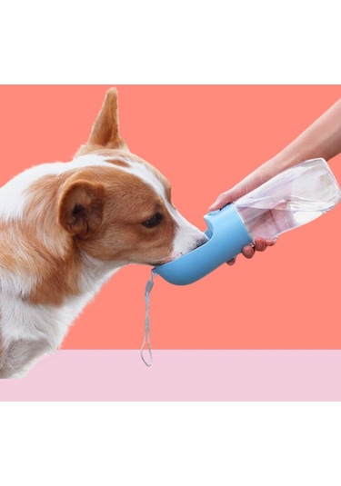 River World Butonlu ve Taşınabilir Evcil Hayvan Suluğu 450 ML