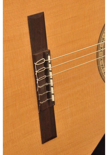 Camps Nac1 Eco Elektro Klasik Gitar Fıshman Classıc III