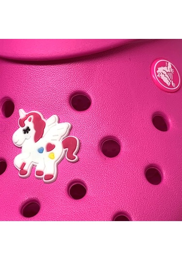 Crocs Terlik Süsü & Renkli Aksesuar Jibbitz (475023590)