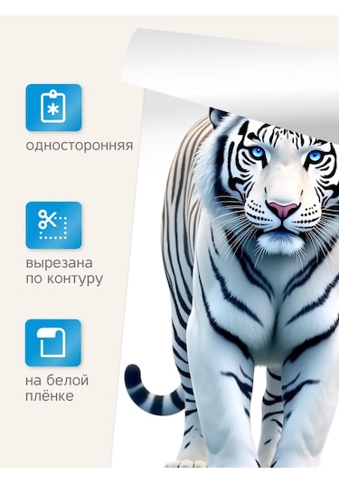 Stiker Dekor İçin Duvar İç Mekan Stickerları 451716711 Beyaz