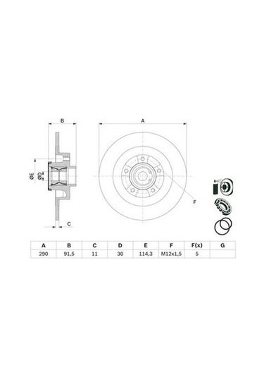 Renault Talisman 1.3tce 2019-2024 Bosch Arka Disk Rulmanlı 290mm 2 Adet