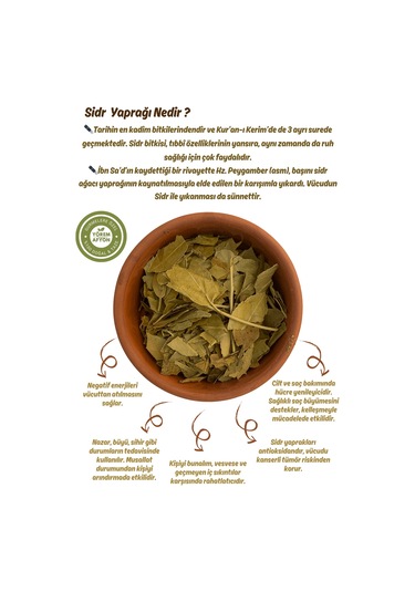 Doğanın Arındırıcı Mührü & Negatif Enerjiye Karşı Kalkan Hakiki Sidr Yaprağı Sedir Sidir 40gr.