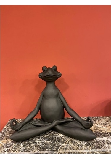 Yogacı Kurbağa-Hf189-2