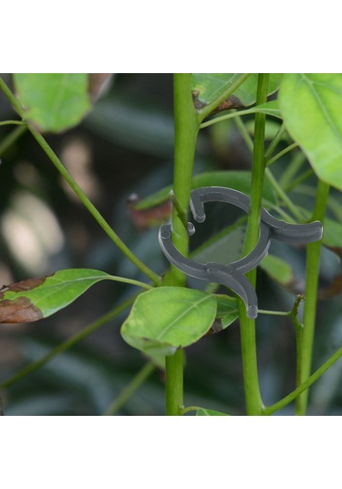 Folinda Bahçe Bitkileri Dal Tutucu Klipsi, Sarmaşık Ve Çiçek Sapı Desteği, Yeniden Kullanılabilir Pp Malzeme, 25mm Genişlik, 200 Adet