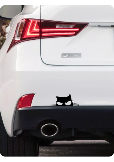 Stadi Çirkin Çıkak Köpekbalığı Çıkartması 200701000 Siyah