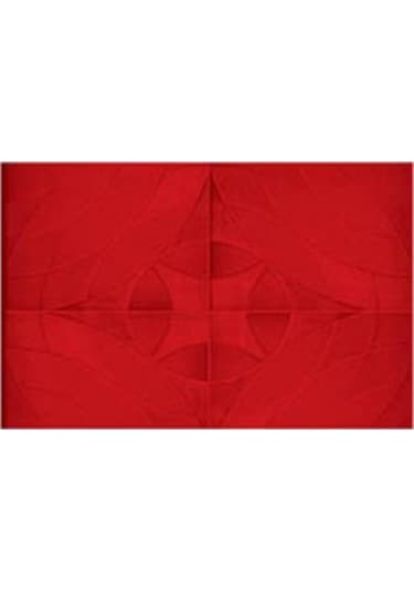 Plastik Parke Taşı Kalıbı Tretuar Arkafon( 5 Ad)