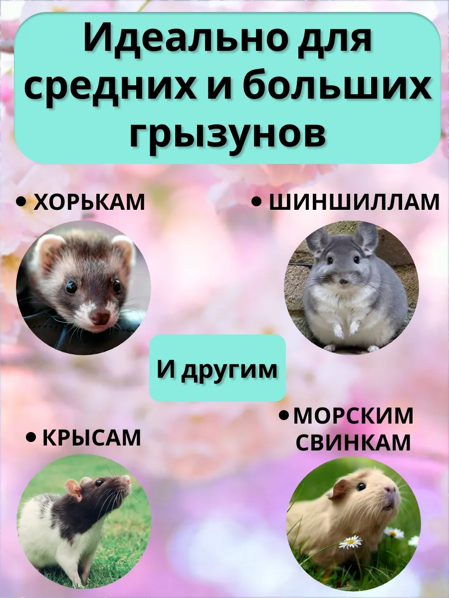 Petipet Kemirgenler Fareleri İçin Üç Katmanlı Kafes Hamak 230626813