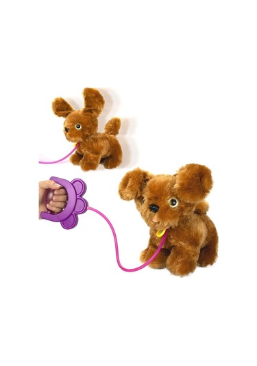 Sevimli Koşu Arkadaşım Golden Çok Renkli