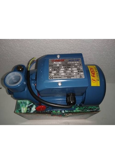 Fiesta Pkm-60 Su Motoru