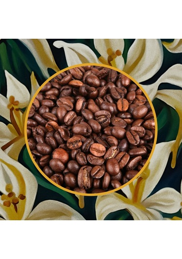 Mim And More Vanilla Coffee Vanilya Aromalı Kahve Çekirdek Kahve 200 G