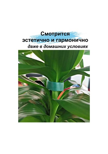 Greduha Bitki Bağlama İçin Cırt Cırt Şeridi 2cm - 20m 259326417