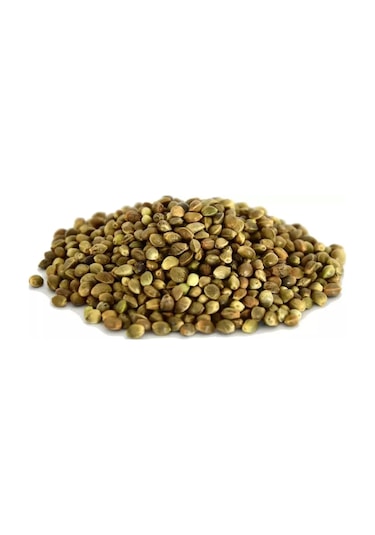 Derya Eren Kendir Kenevir Tohumu Çedene 100 G