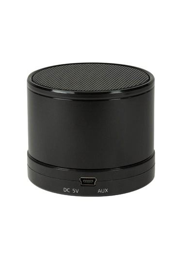 Logilink SP0051 Speaker Bluetooth Micro SD SİLVER