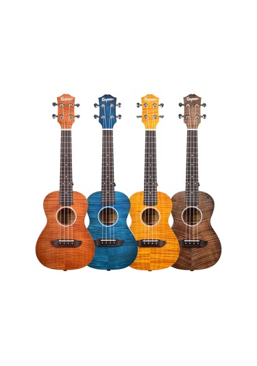 Kaysen U3-24bk Concert Ukulele