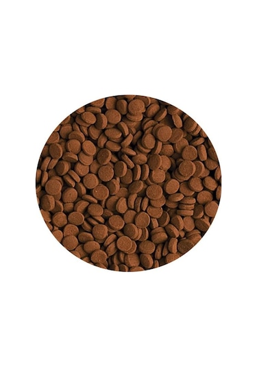 Tropical Carnivore 250gr Kovadan Bölme