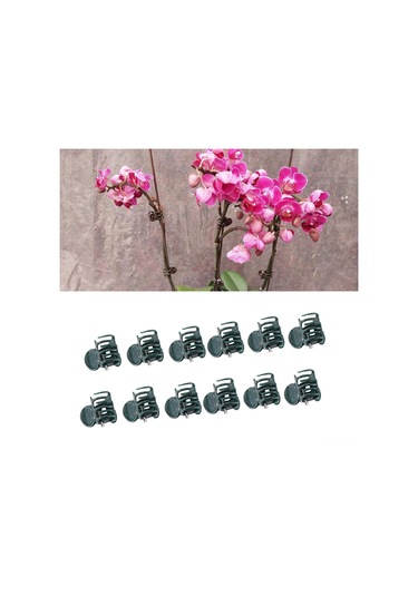 Ximistore9 100 Adet Plastik Bahçe Bitki Tutucu, Orkide Ve Çiçek Gövdesi Desteği, Kolay Kullanım, Yeşil Renk