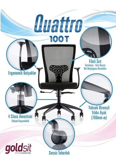 Goldsit Bilgisayar Koltuğu Siyah