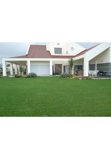 Ulusoy Tohumculuk 4M Joker Gold Çim Tohumu 10 KG