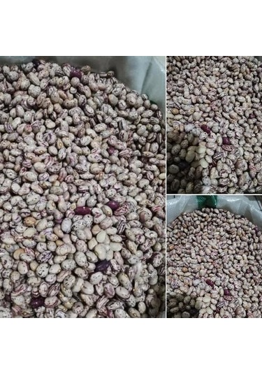 Doğal Anadolu Artvin Kara Sırık Barbunya Tohumu 10 Tohum