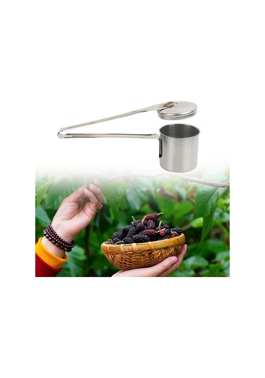 Homyl Küçük Meyveler Tarihleri İçin Paslanmaz Çelik