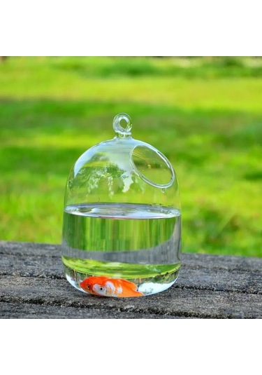 Neevoyu El Yapımı Transparent Cam Akvaryum, Beyaz Askılı Tutucu İle Ev Dekorasyonu, 15x10x23 Cm Yüksek Borosilikat Cam, Ev Ve Nikah Dekoru