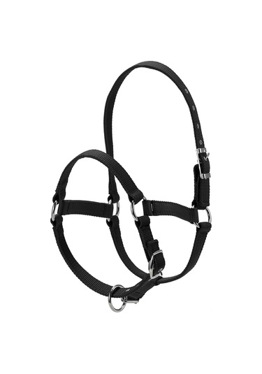 Mufunye 6mm Kalınlaştırılmış Ayarlanabilir At Başlığı: Dayanıklı Ve Kontrol Kolaylığı Sunar Kırmızı / Mavi / Siyah, S / M / L