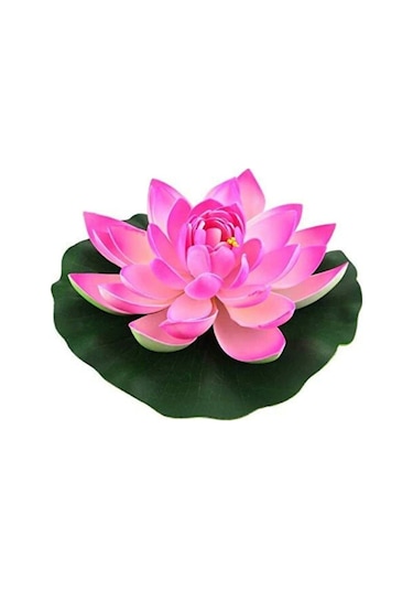 Süper Paket 20 Adet Tohum Lotus Tohumu Nilüfer Çiçeği Tohumu