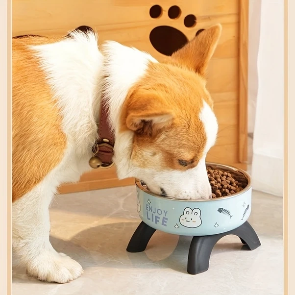 Chuangyinshop Koyu Kahverengi 304 Paslanmaz Çelik Ve Pp Kaymaz Tabanlı Pati Desenli Yükseltilmiş Kedi Köpek Mama Kabı